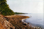 Maine 1995